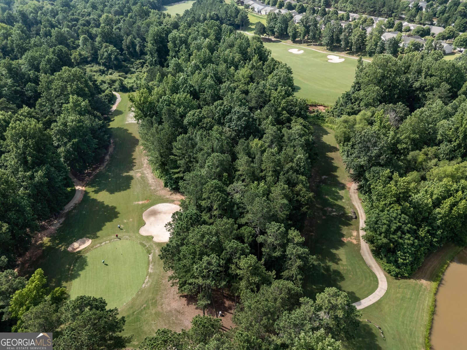 208 Ravenna Drive Griffin - Photo 15