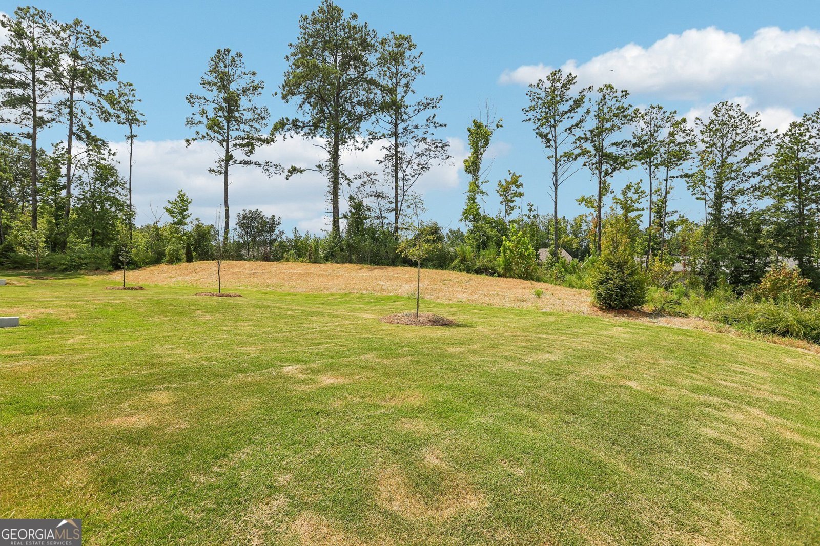 48 Umber Lane Newnan - Photo 32
