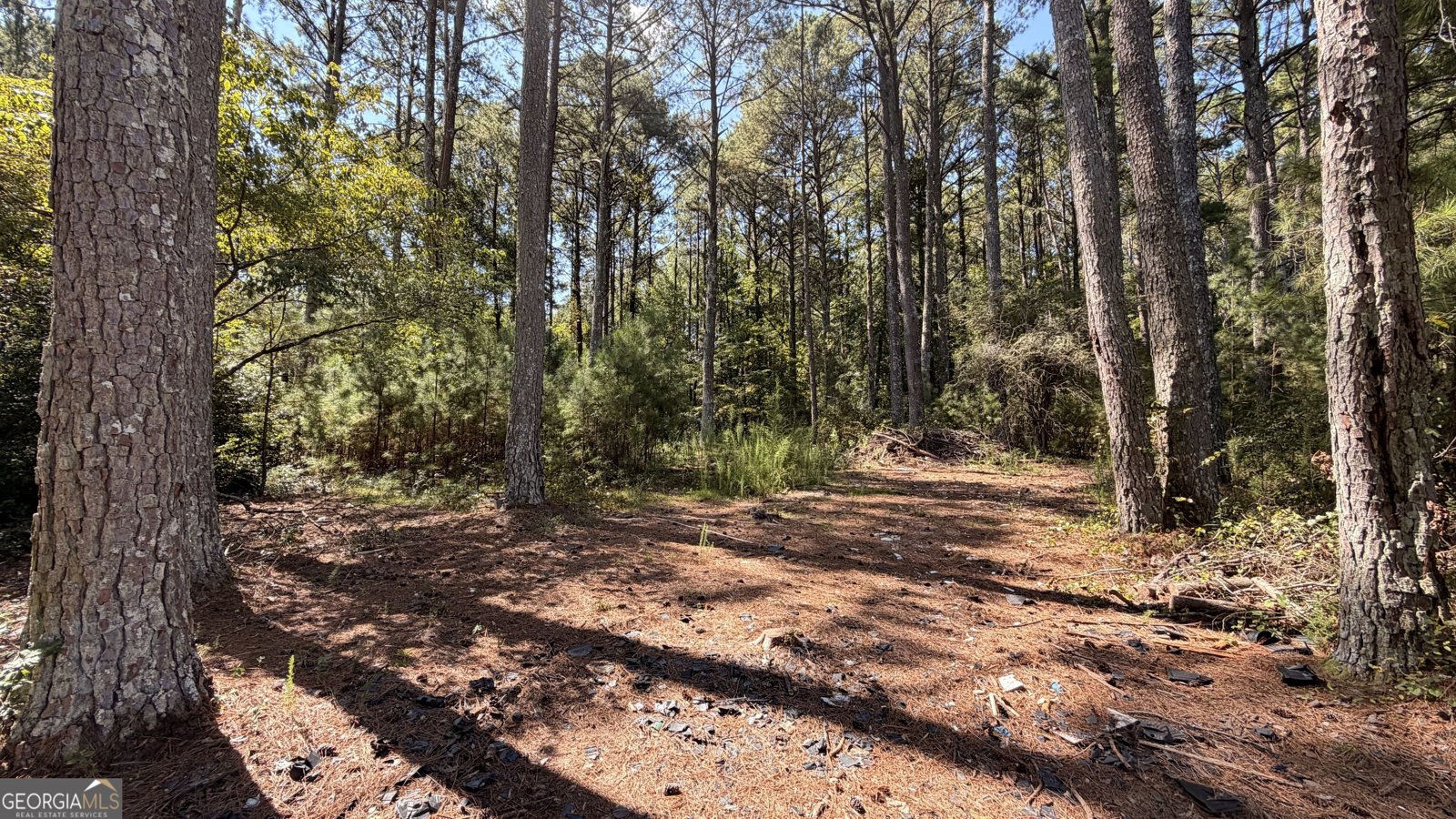 2601 Gees Mill Road Conyers - Photo 7