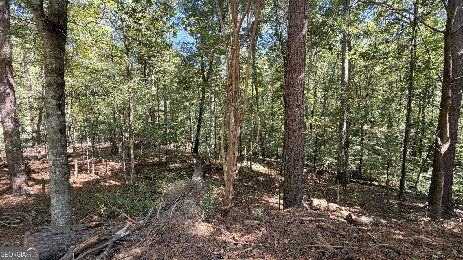 2601 Gees Mill Road Conyers - Photo 8
