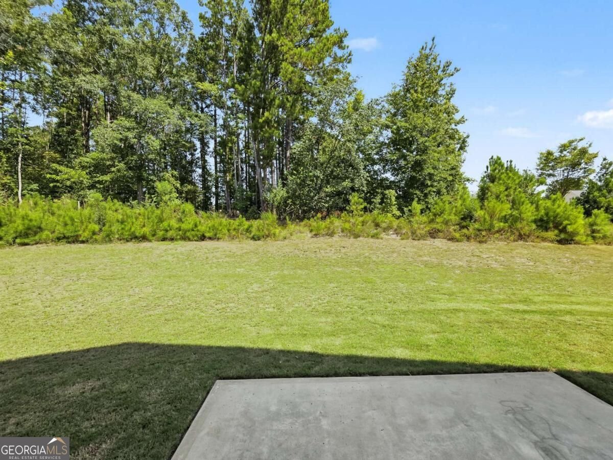 918 Brittfield Way Loganville - Photo 30