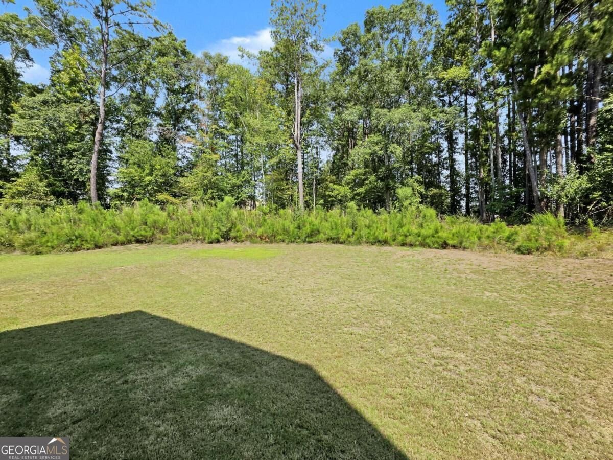 918 Brittfield Way Loganville - Photo 31