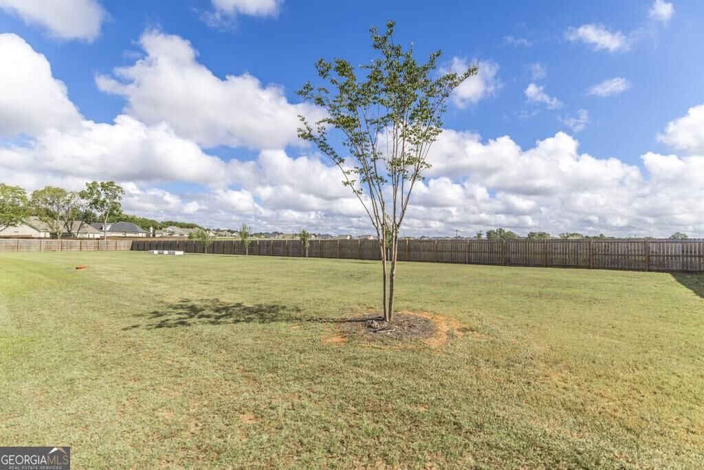 285 Bear Branch Road Kathleen - Photo 44