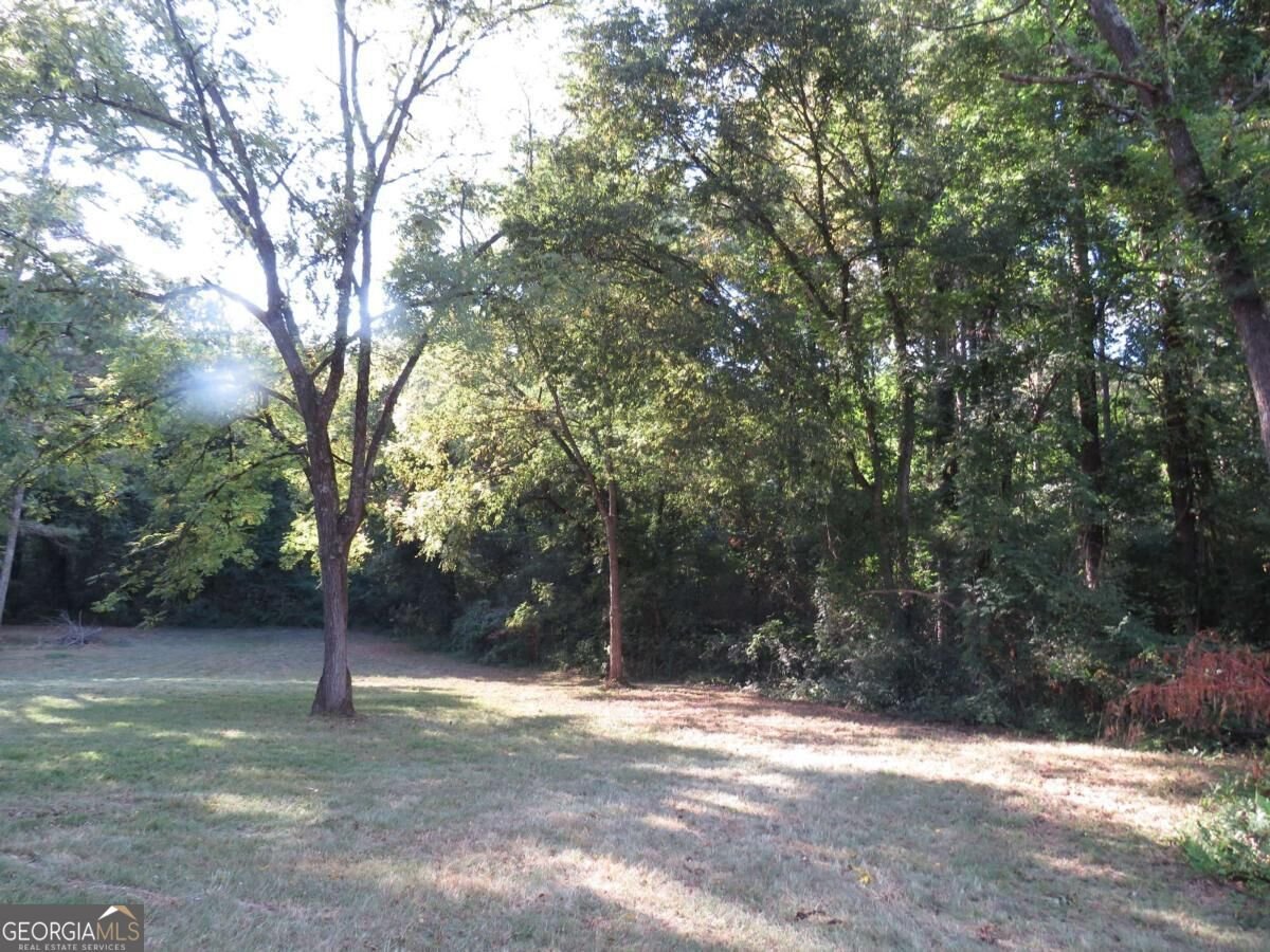 79 Mill St Cave Spring - Photo 12