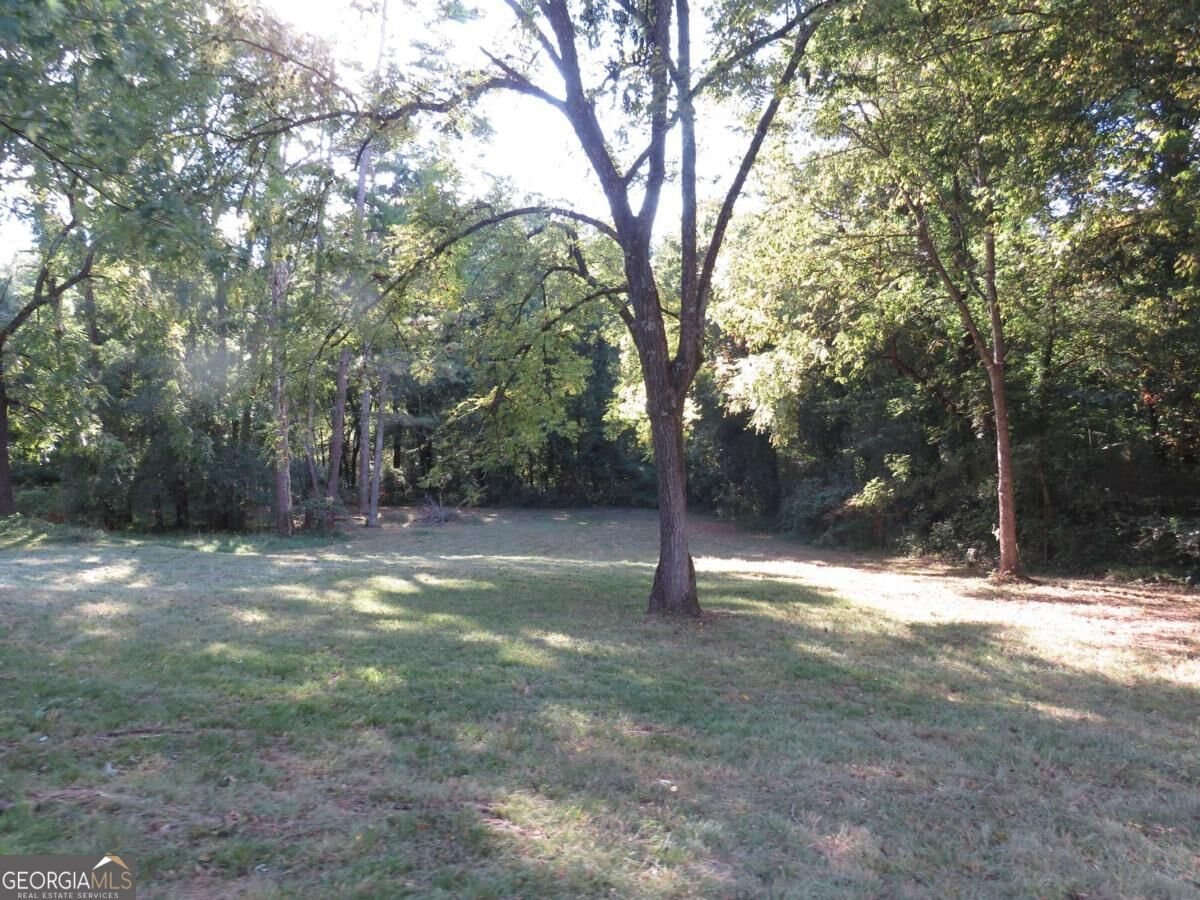 79 Mill St Cave Spring - Photo 13
