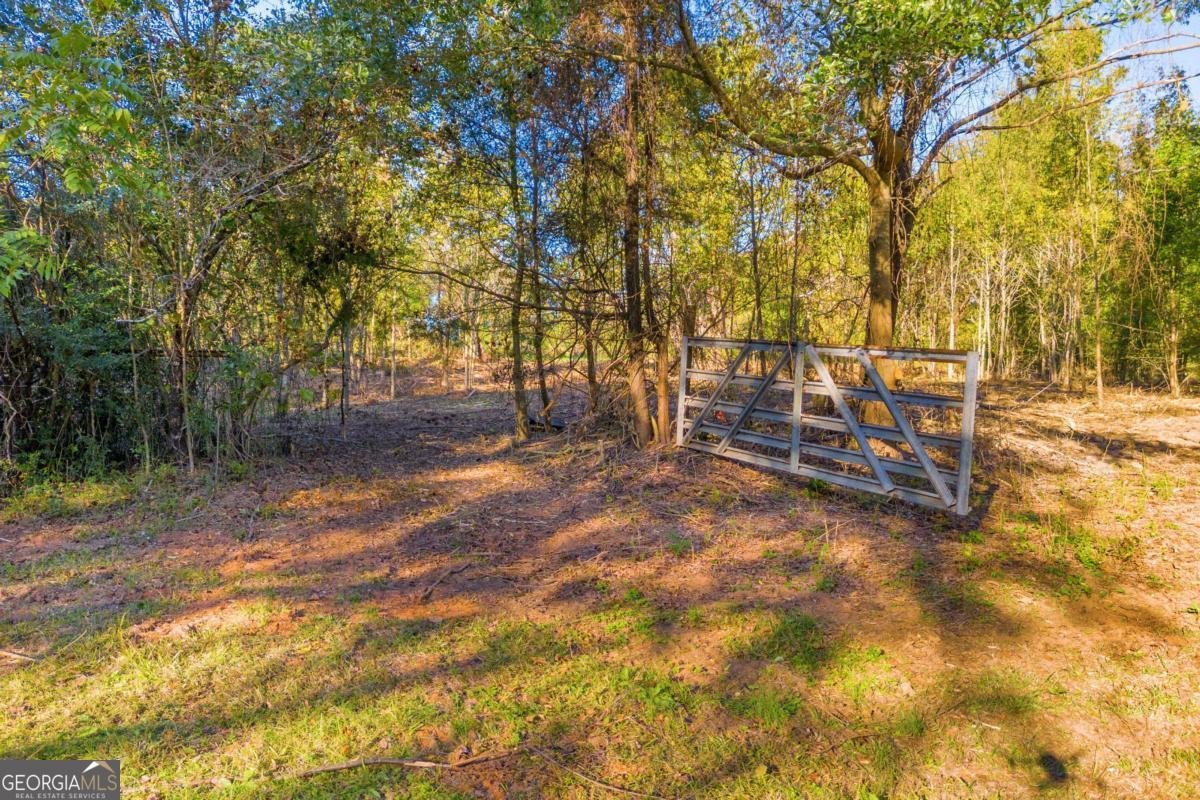 4638 Highway 63 Carnesville - Photo 10