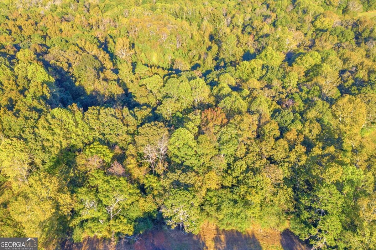 4638 Highway 63 Carnesville - Photo 14