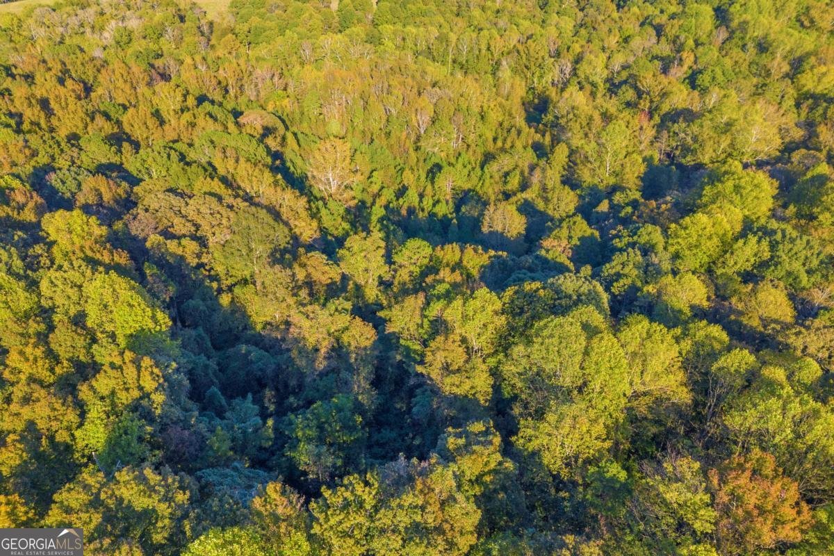 4638 Highway 63 Carnesville - Photo 15