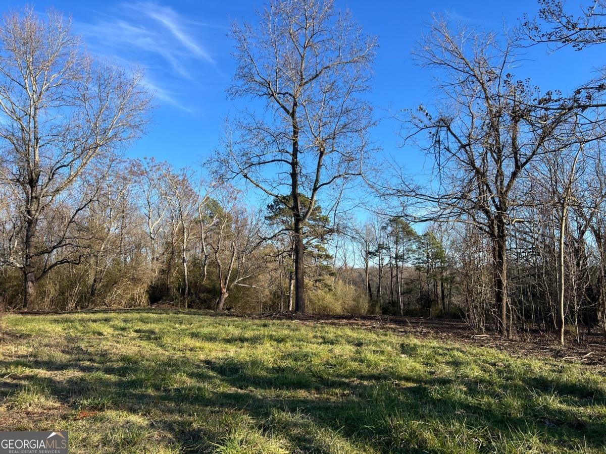 4638 Highway 63 Carnesville - Photo 40