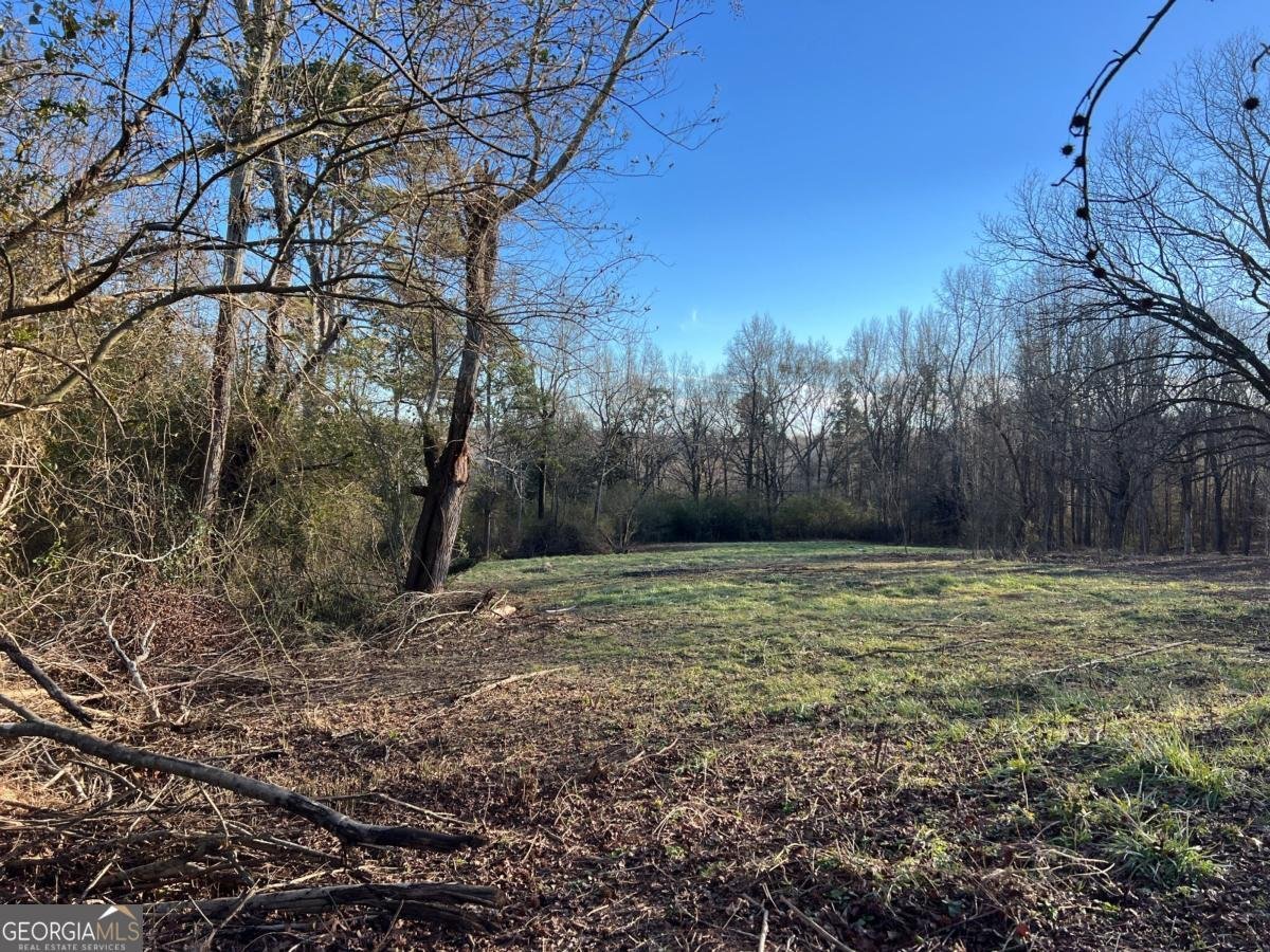 4638 Highway 63 Carnesville - Photo 43