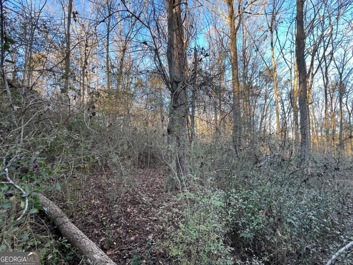 4638 Highway 63 Carnesville - Photo 45