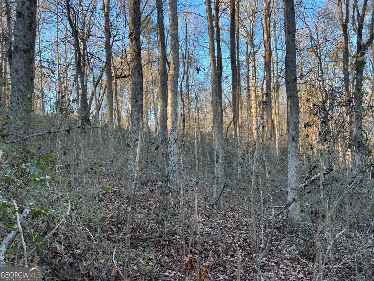 4638 Highway 63 Carnesville - Photo 47