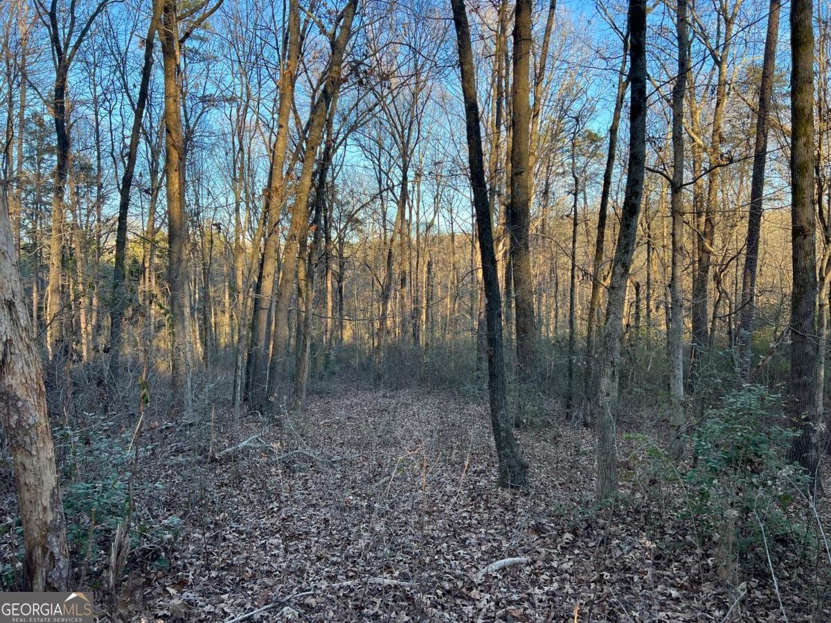 4638 Highway 63 Carnesville - Photo 49