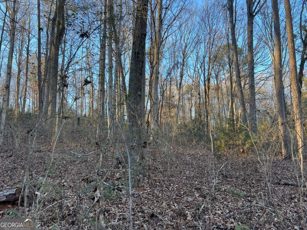 4638 Highway 63 Carnesville - Photo 50