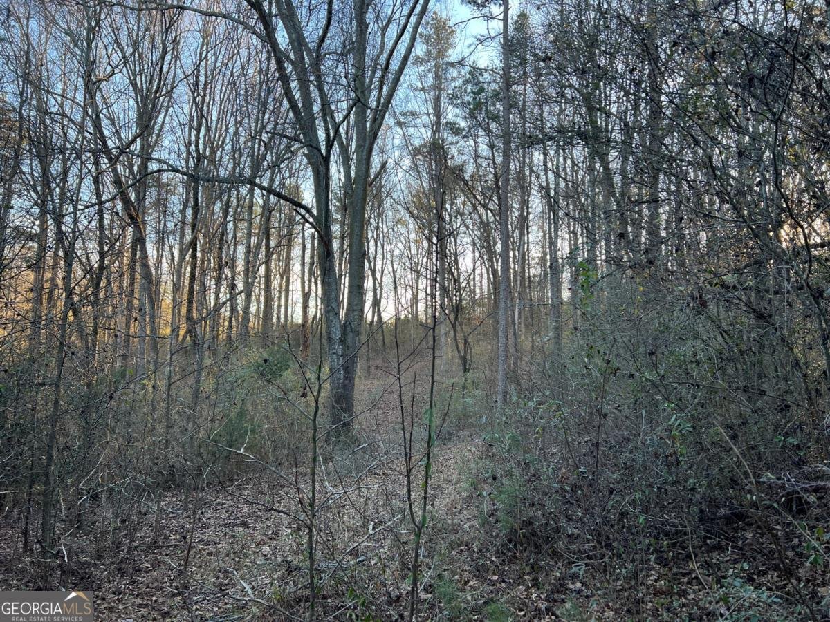 4638 Highway 63 Carnesville - Photo 52