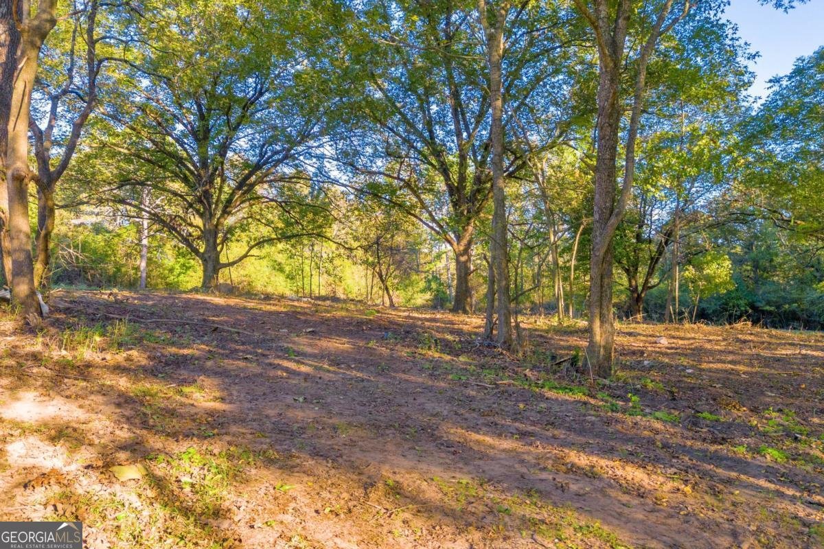 4638 Highway 63 Carnesville - Photo 9