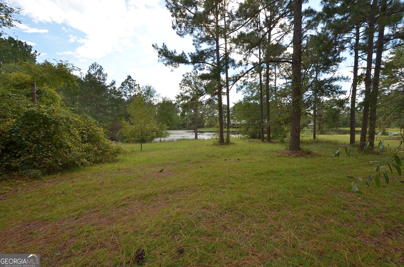 805 Antioch Church Road Eastman - Photo 52