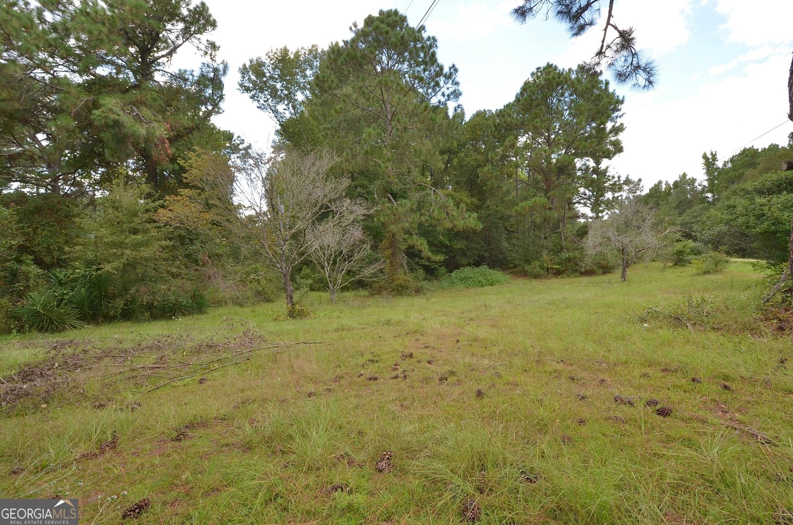 805 Antioch Church Road Eastman - Photo 58