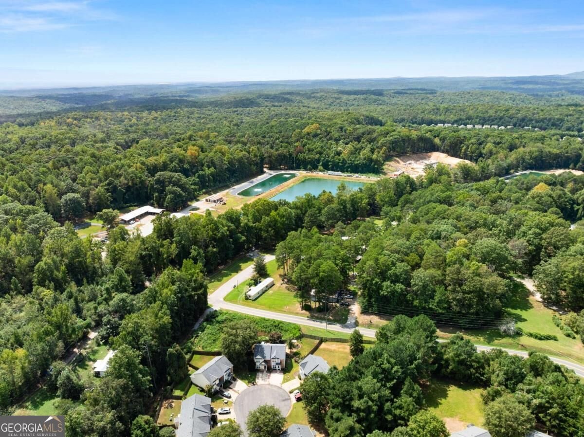 268 Pearl Chambers Drive Dawsonville - Photo 27