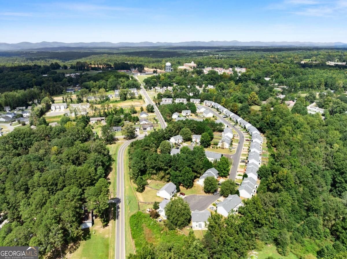 268 Pearl Chambers Drive Dawsonville - Photo 29