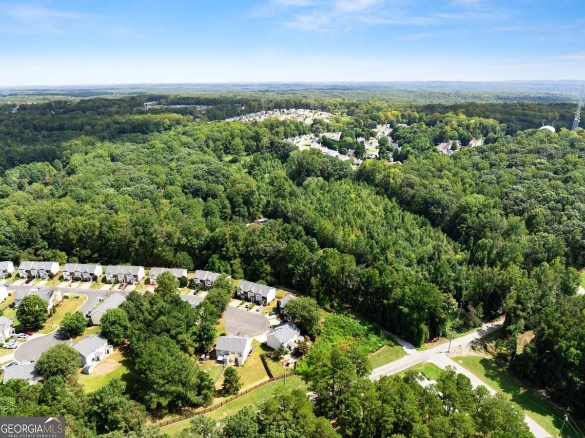 268 Pearl Chambers Drive Dawsonville - Photo 31