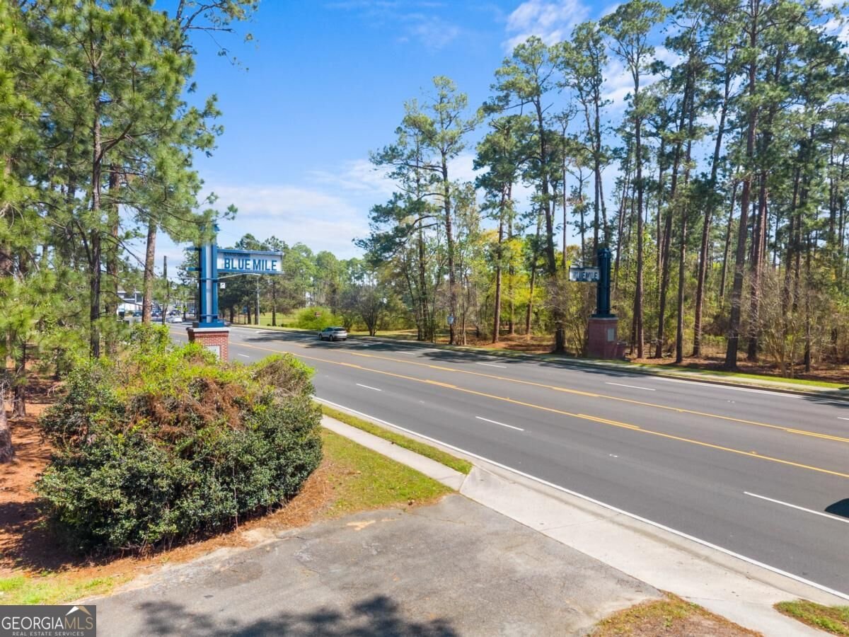 313 Miller Street Statesboro - Photo 48