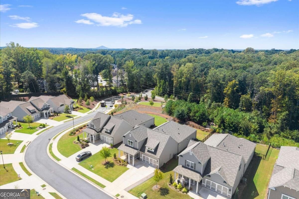 131 Spaulding Lane Woodstock - Photo 43