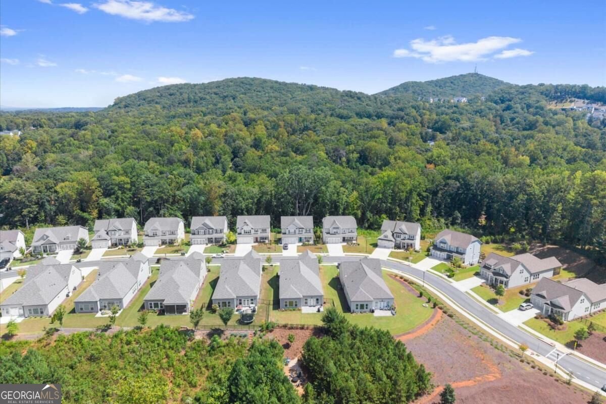 131 Spaulding Lane Woodstock - Photo 44