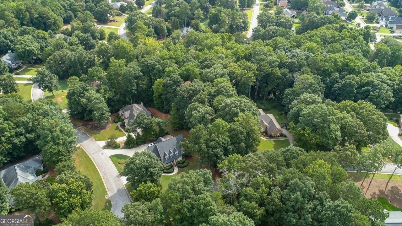 935 Woodland Brook McDonough - Photo 40