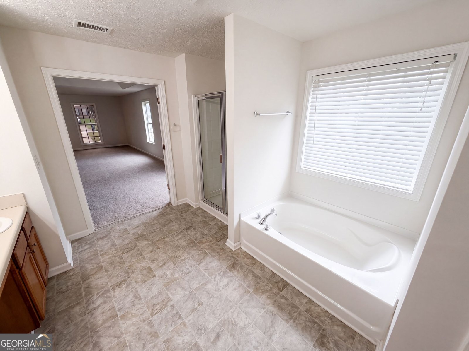910 Paper Creek Drive Lawrenceville - Photo 20