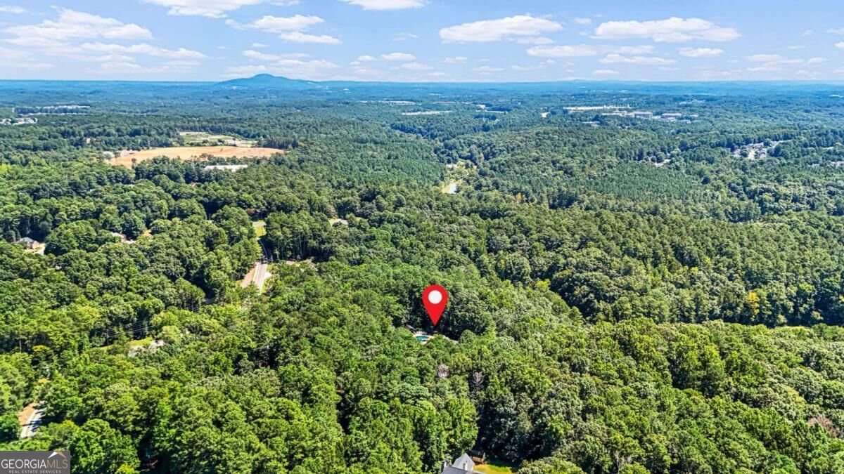 1525 Rabke Road Canton - Photo 28