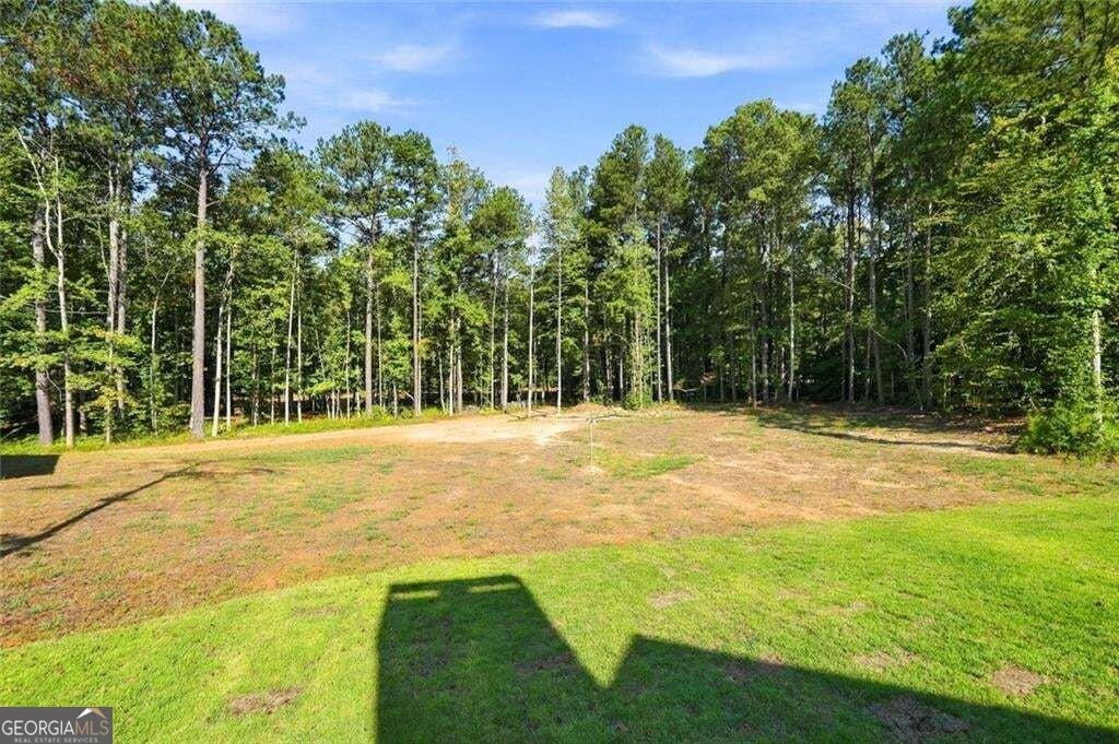 378 Ficklen Place Canton - Photo 60
