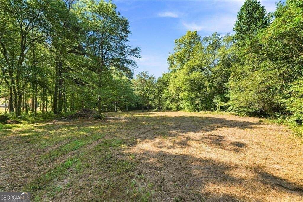 378 Ficklen Place Canton - Photo 68
