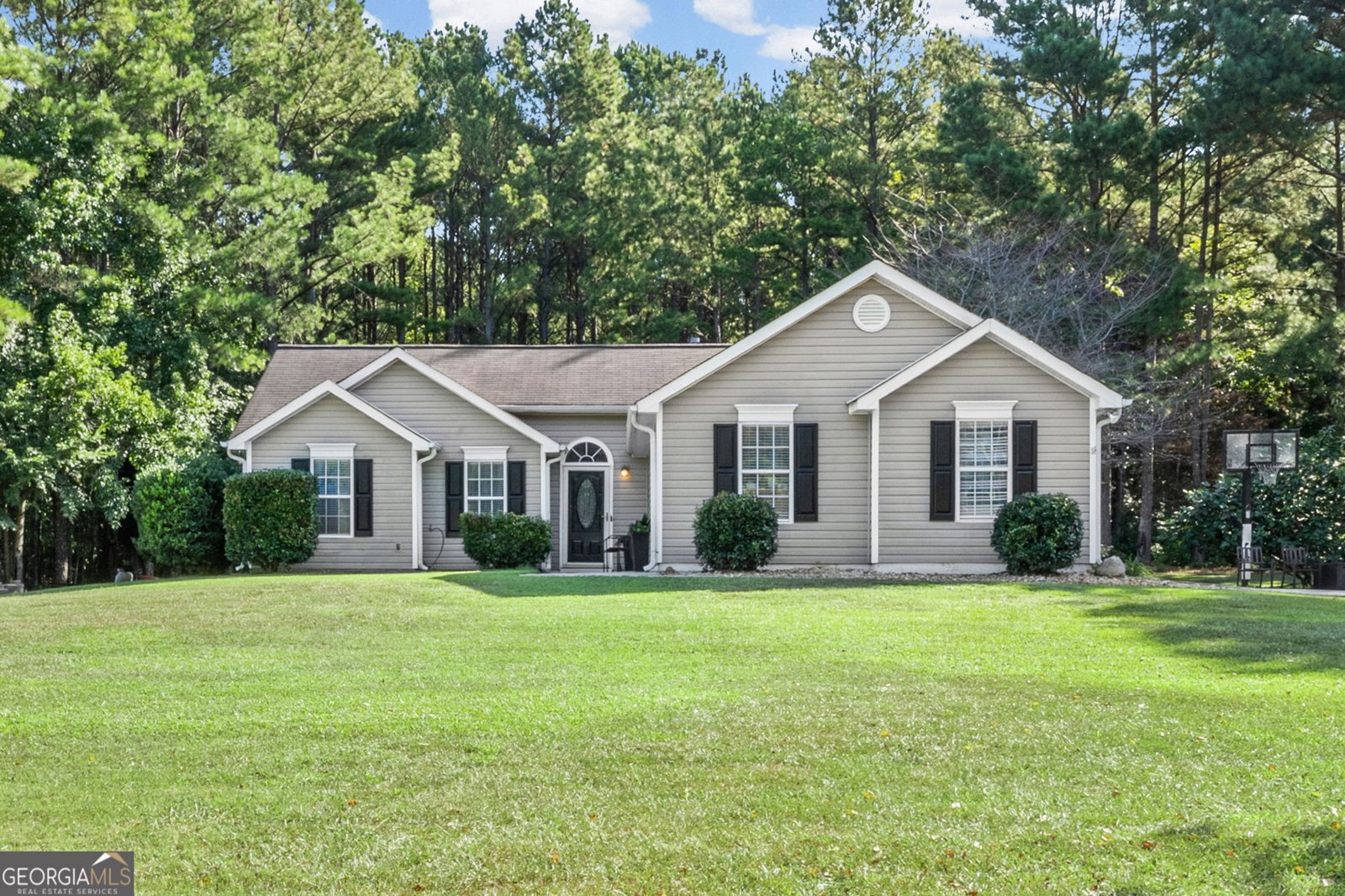 430 Hayward Bishop Way Senoia - main photo