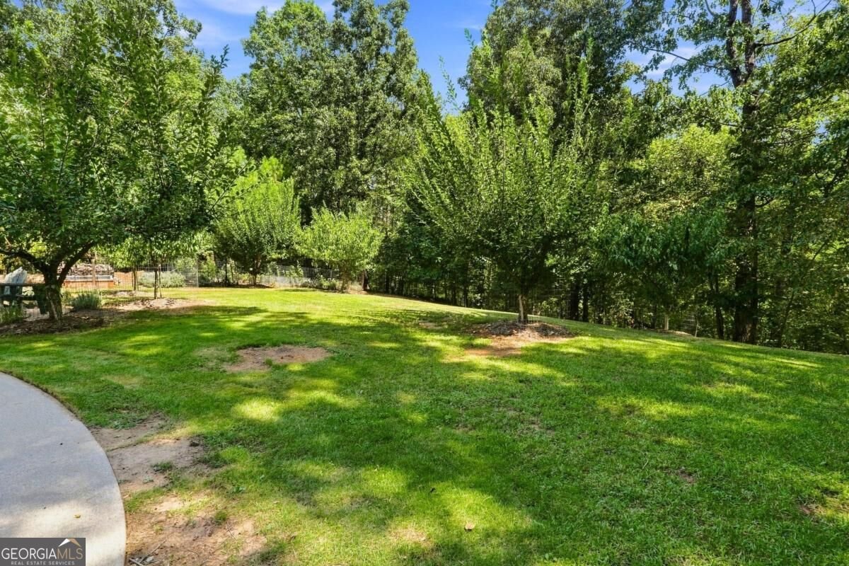 410 Ashley Drive Canton - Photo 55