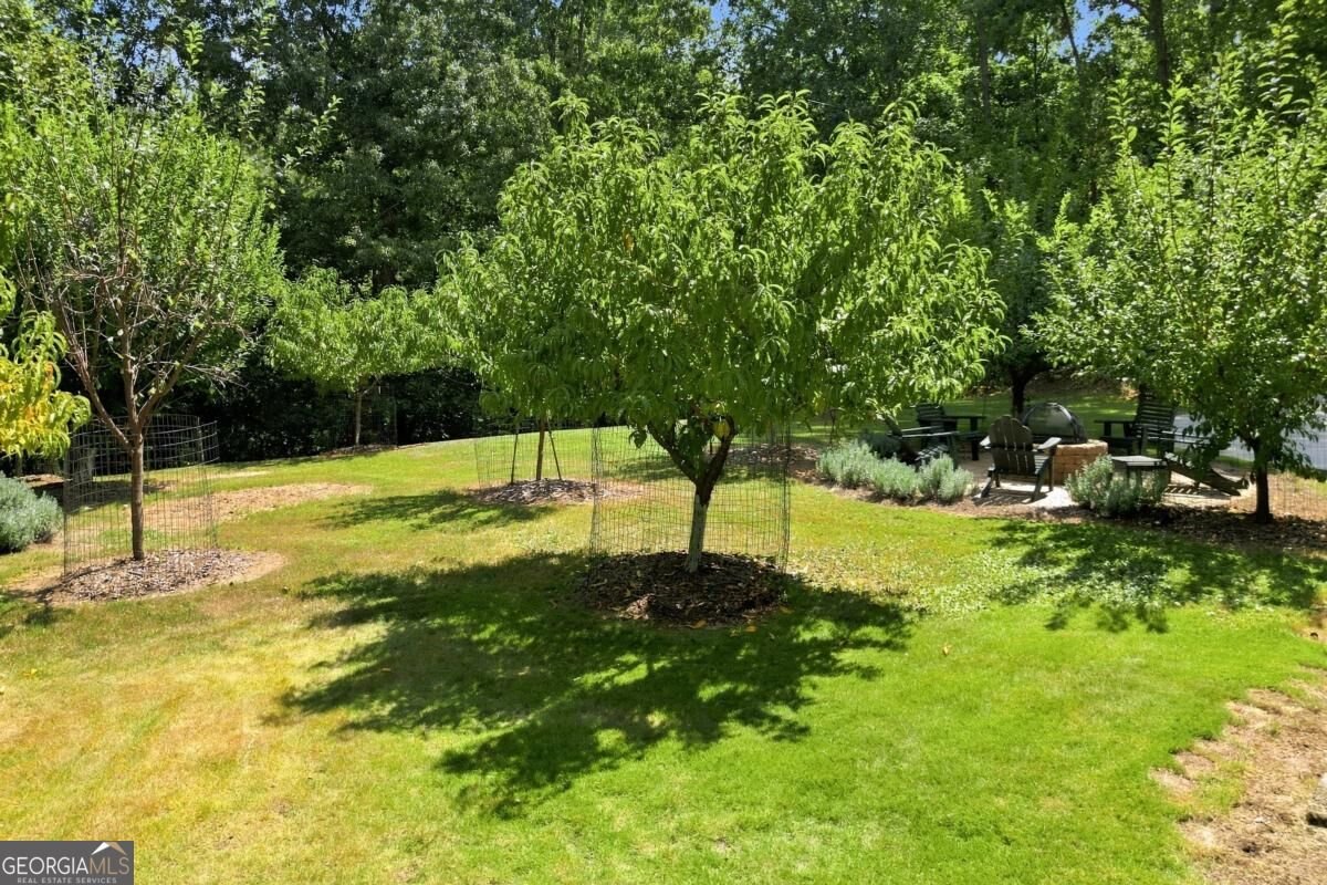 410 Ashley Drive Canton - Photo 56