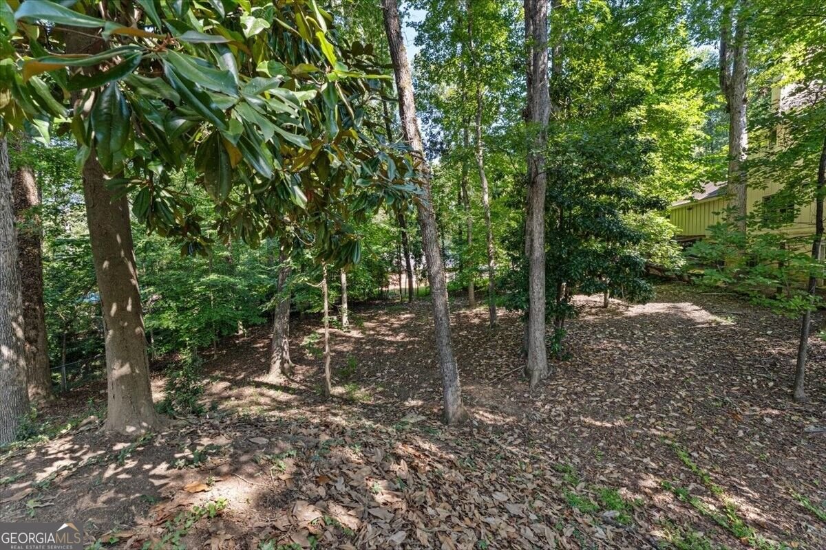 1606 E Nancy Creek Drive Brookhaven - Photo 59