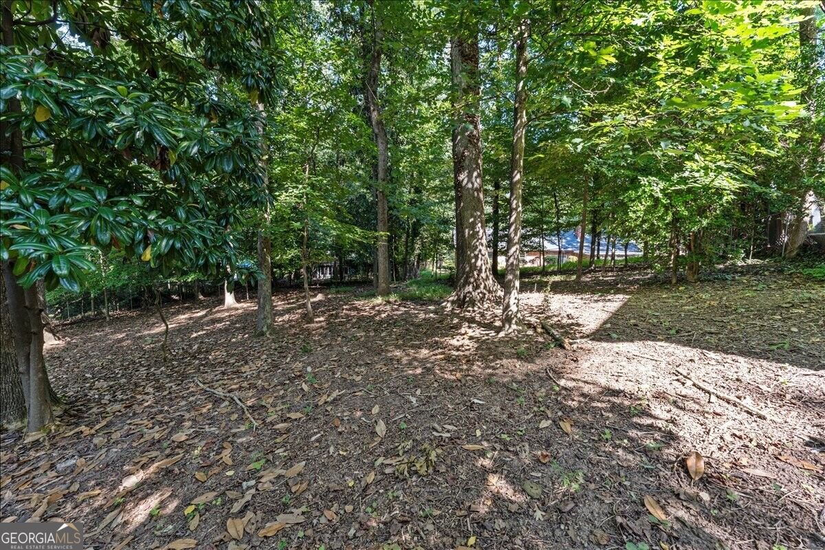 1606 E Nancy Creek Drive Brookhaven - Photo 60