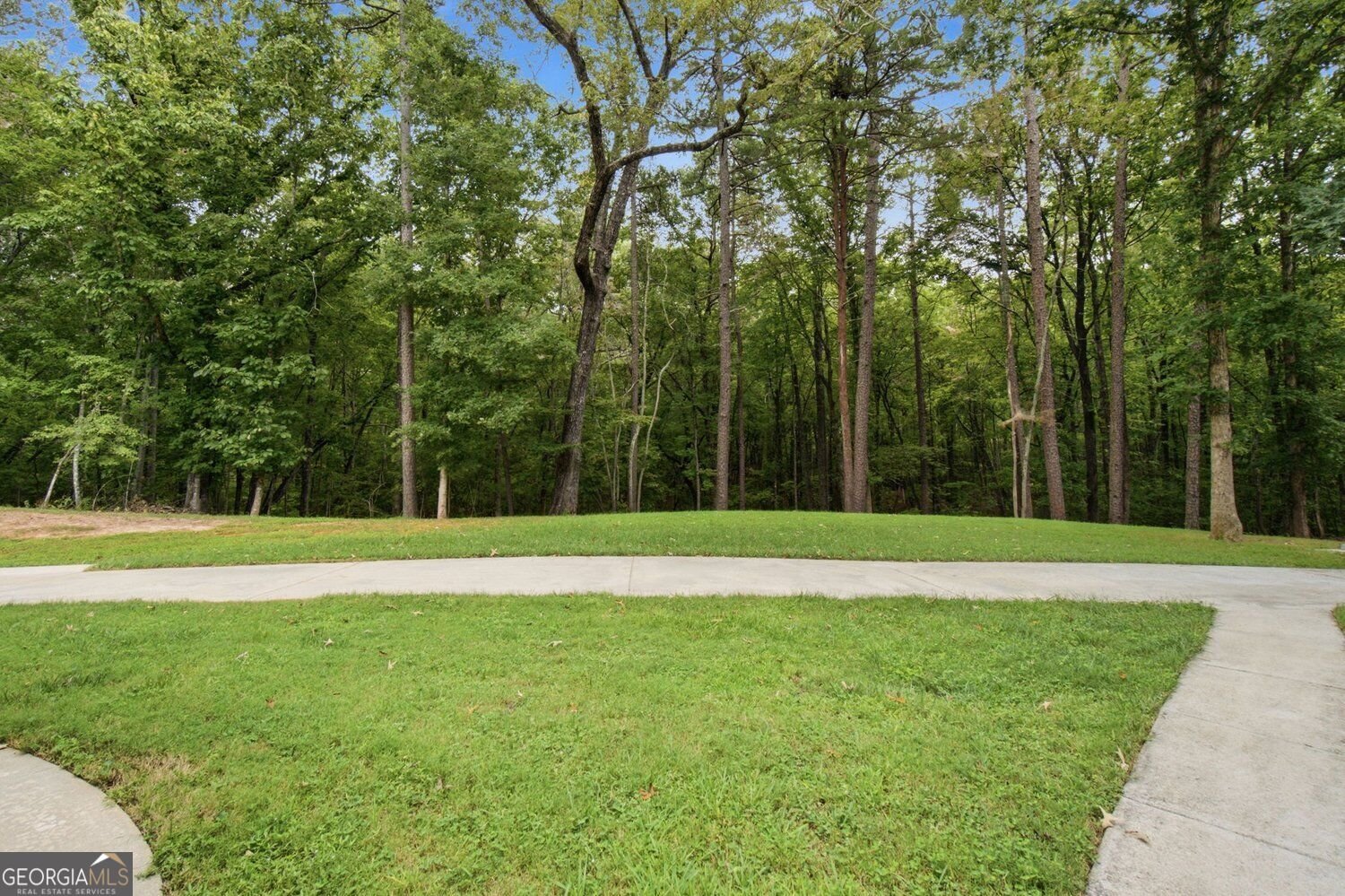 186 Fern Park Drive Dawsonville - Photo 44