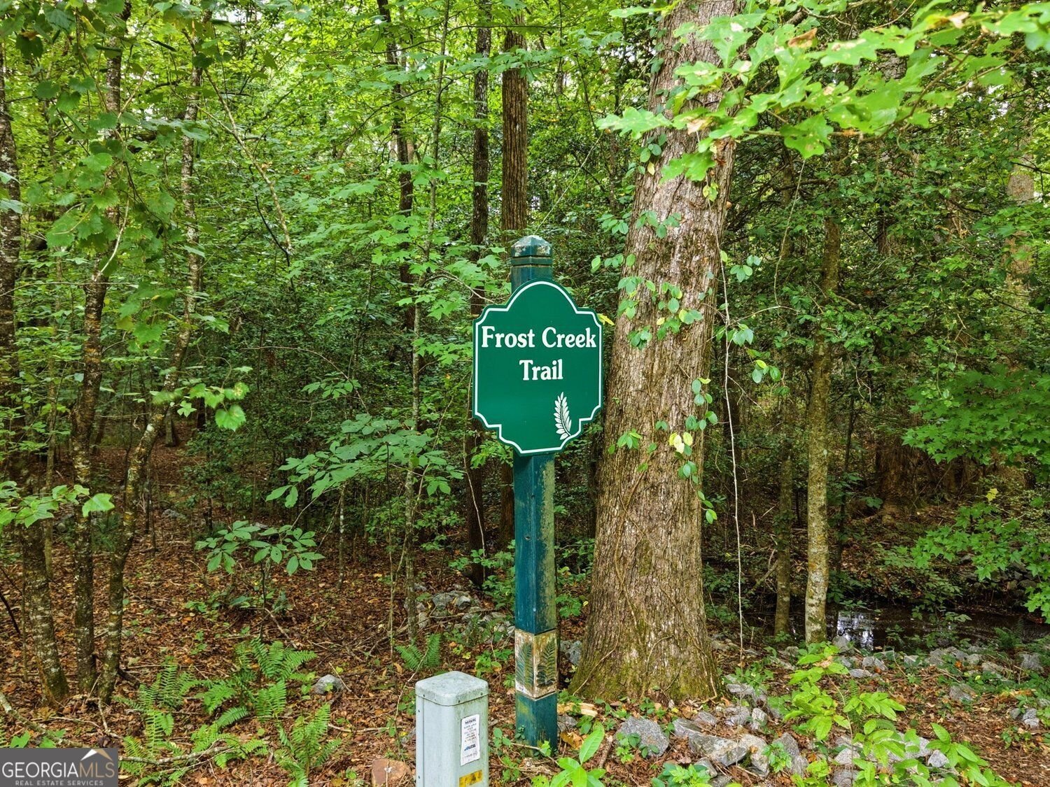 186 Fern Park Drive Dawsonville - Photo 47