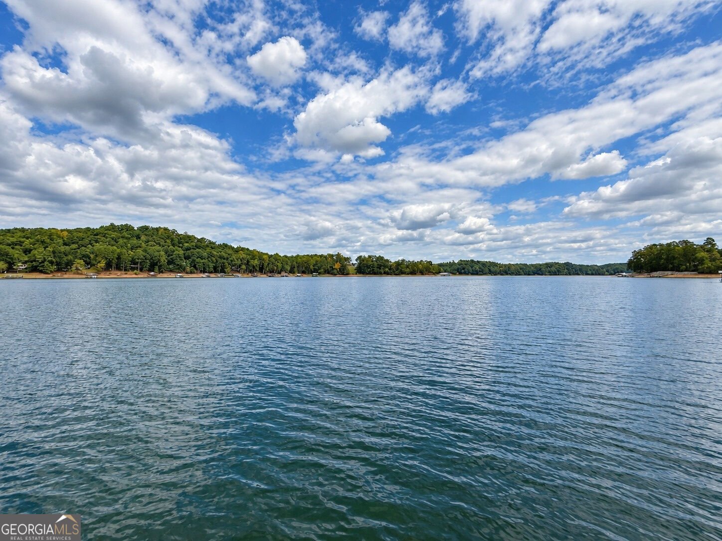 669 Shorewood Circle Toccoa - Photo 44