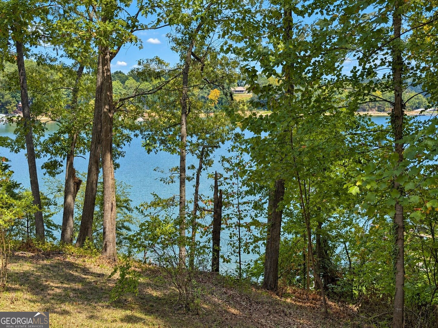 669 Shorewood Circle Toccoa - Photo 8