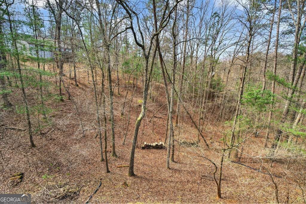 750 Lemmon Lane S Ellijay - Photo 12