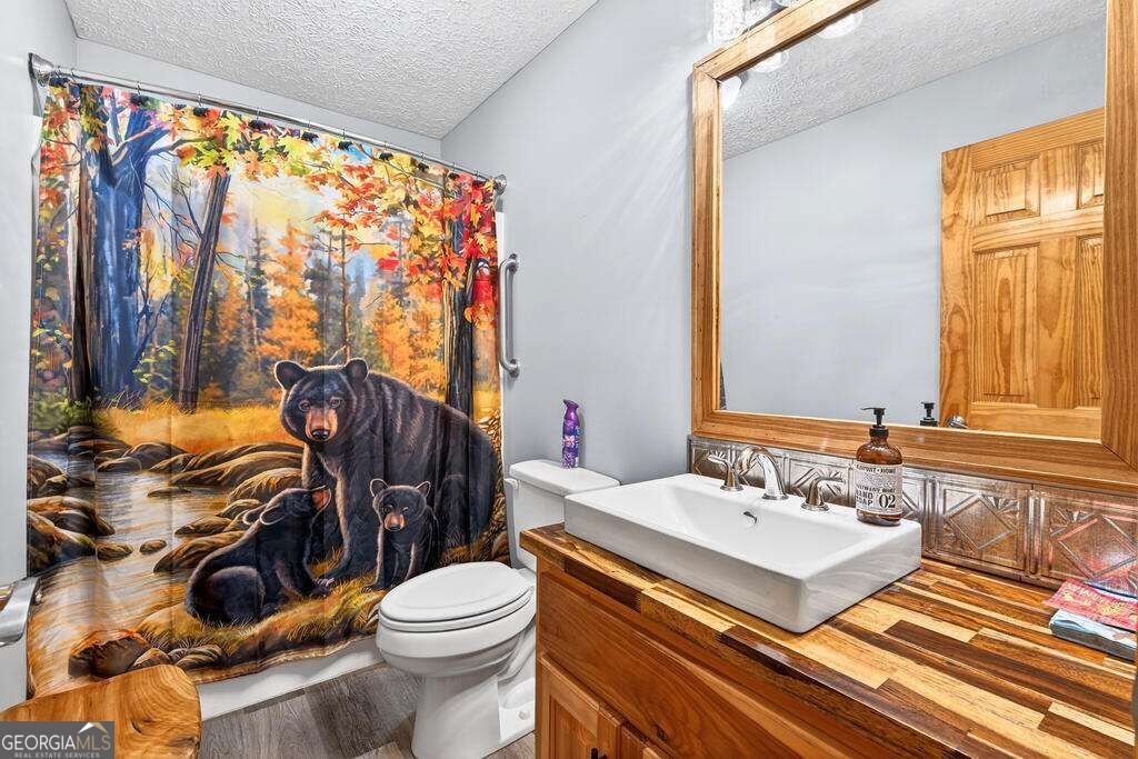 750 Lemmon Lane S Ellijay - Photo 14