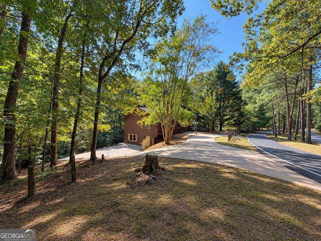 750 Lemmon Lane S Ellijay - Photo 33