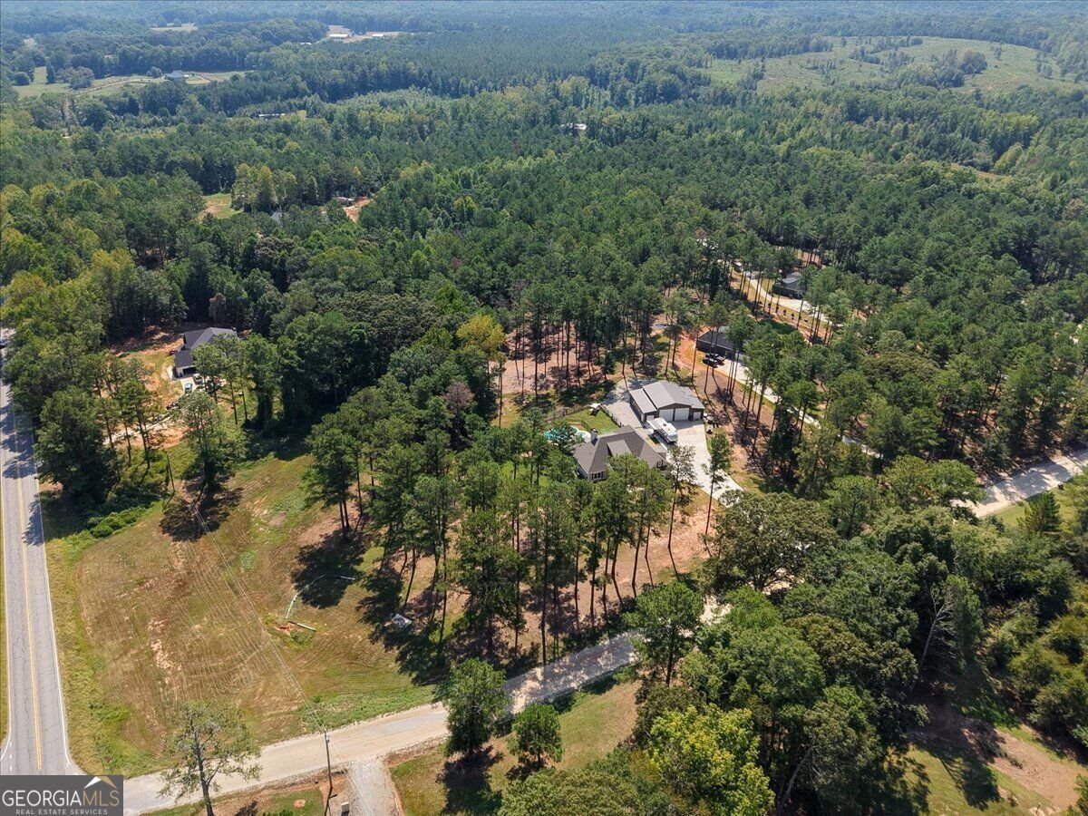 1269 Attaway Road Bowdon - Photo 59