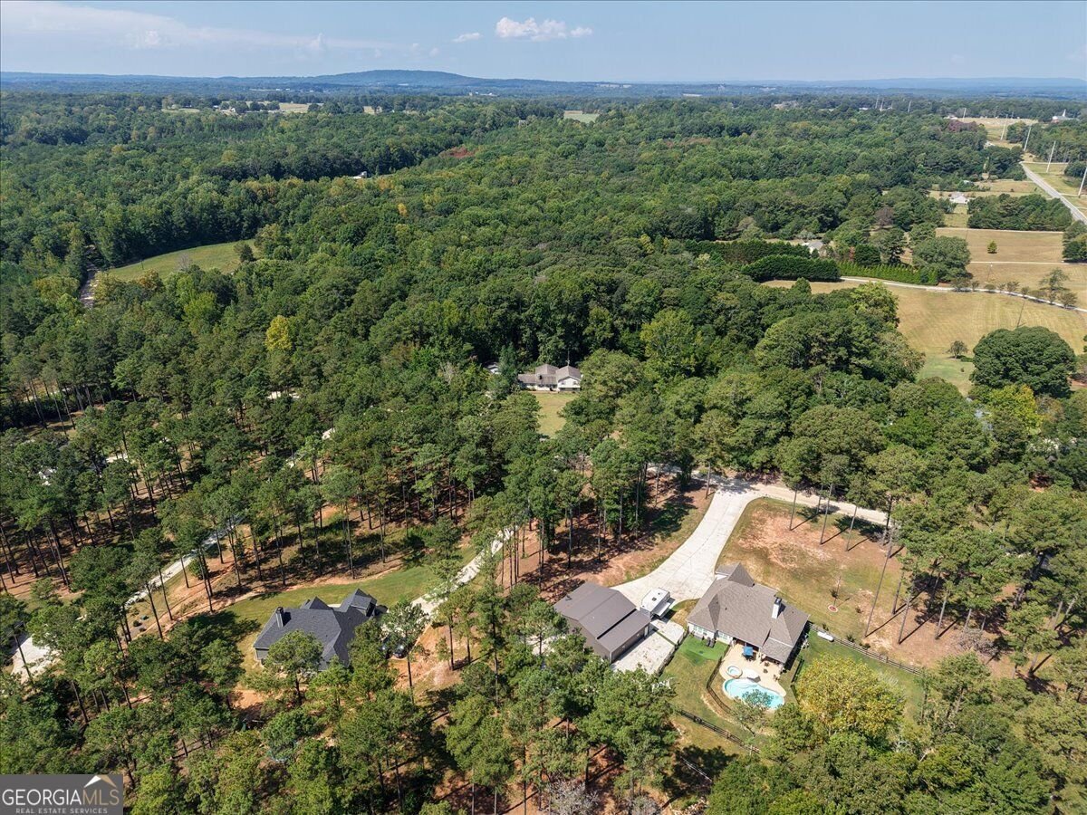 1269 Attaway Road Bowdon - Photo 60
