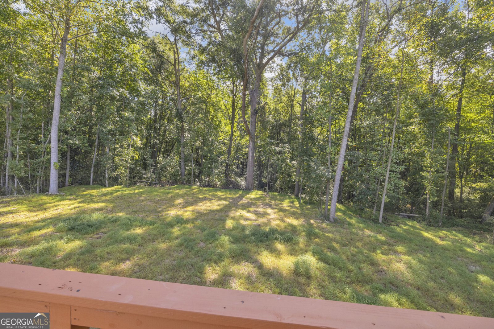 286 Adams Place Drive ROYSTON - Photo 71