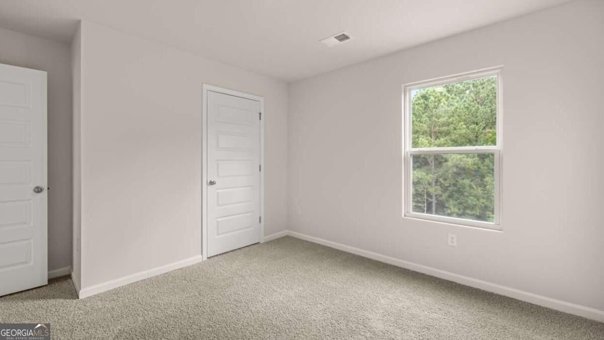 00 White Spruce Way Newnan - Photo 37