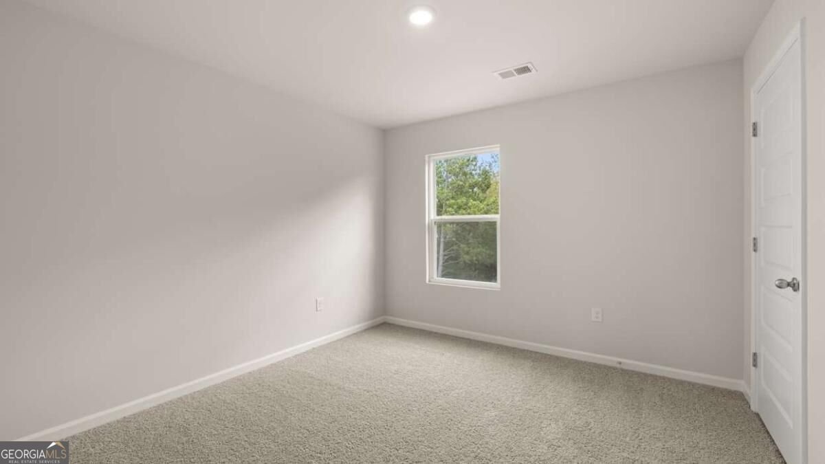 00 White Spruce Way Newnan - Photo 38